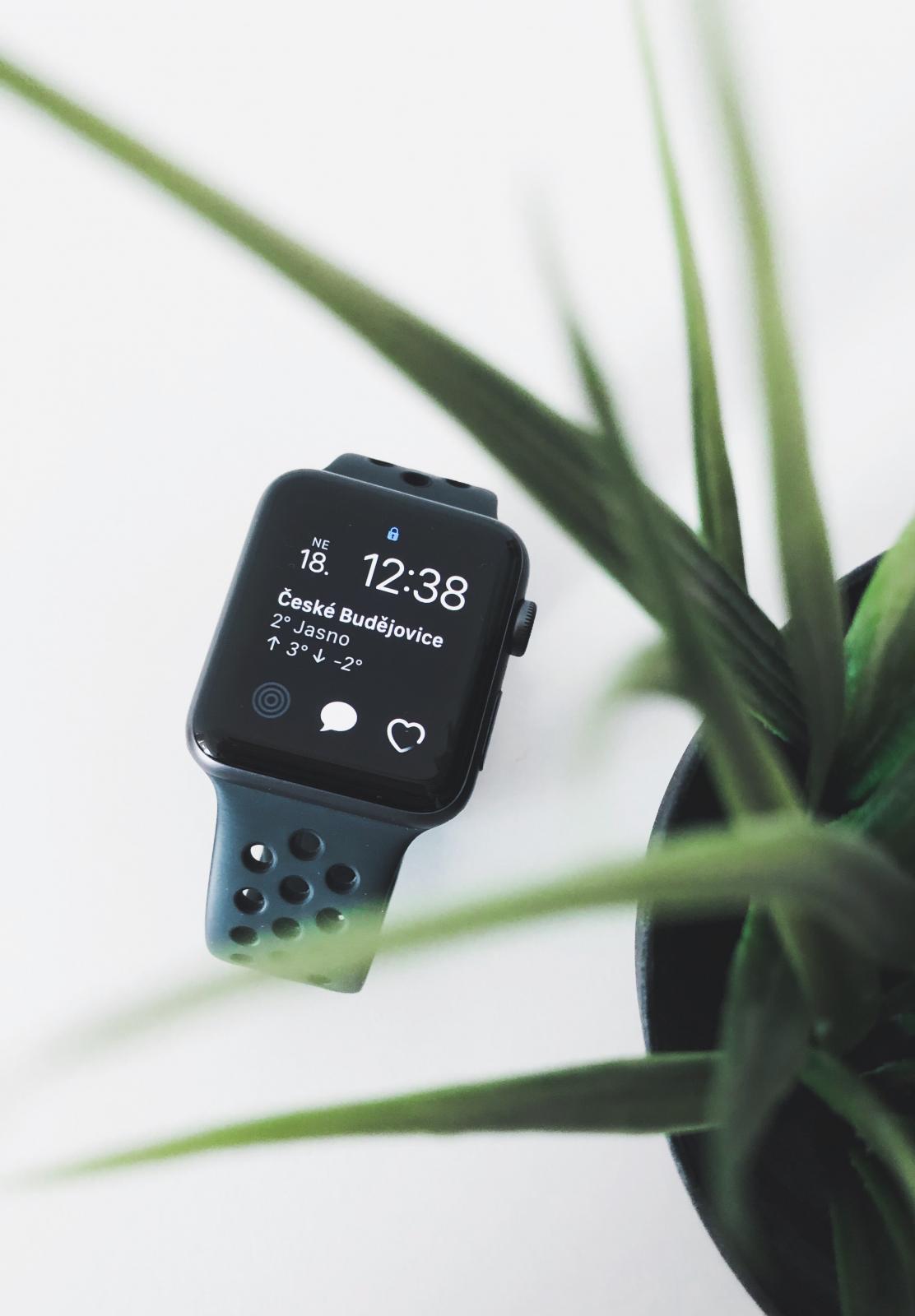 Apple Inc.